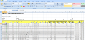 Izrada tabela i analiza u Microsoft Excel formatu